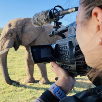 Filming Elephants