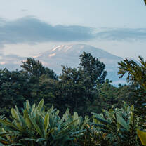Kilimanjaro