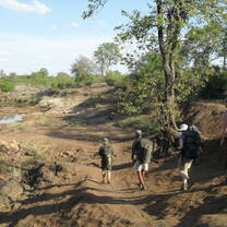 Backpack trail in the Kruger National Park Mpongolo area