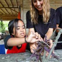 An expat lady helping a young local school girl attach a coral fragments to a metal coral structure