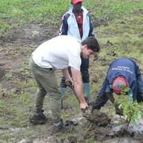 Practies planting trees at school compound