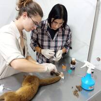 wildlife program