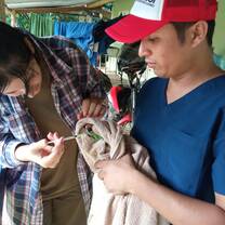wildlife program