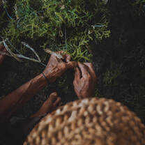 seaweed farmer