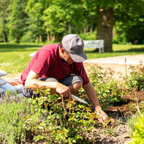 Gardening