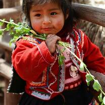  Babies and young children in the high Andes often react with curiosity and warmth upon meeting volunteers. Their innocent expressions of wonder and interest reflect the novelty of encountering new faces and experiences from different cultures. Volunteers play a crucial role in nurturing these early interactions by providing care, attention, and gentle support, which can profoundly impact the infants' sense of security and trust. Through comforting gestures, playfulness, and nurturing care.