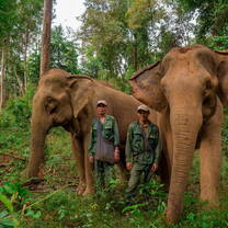 Two Elephants and their Mahouts