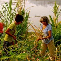People working at grasslands