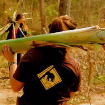 Woman caring out sugarcane