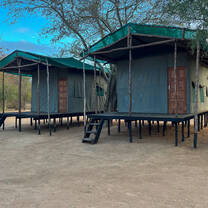 Safari tents northern camp