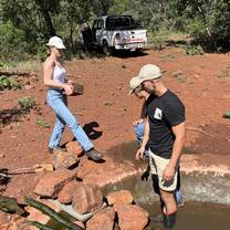Conservation work on the reserve 