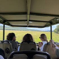 Game drive in Marakele NP 