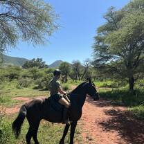 Horse safaris in close by nature reserve 