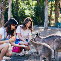 Experience Australia