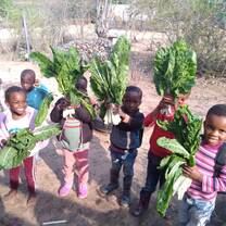 Food security