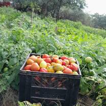 Food security