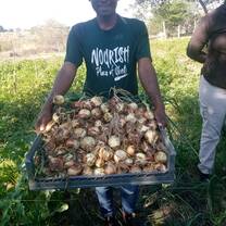 Food security