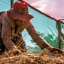 Farming