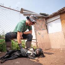 Peru-2