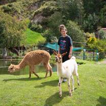 Peru-3