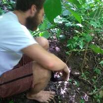 By planting trees we help jaguars to find water and food in the forest