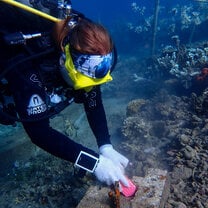 Cleaning Artificial Reef Structures for Coral Planting