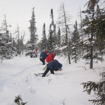 people in the snow doing research