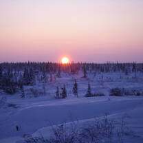 sunset over artic snow landscape