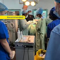 Go-Elective Abroad Premed and Medical Students in doing their rotations in various departments including surgery, OBGYN, internal medicine, pediatrics, and emergency medicine