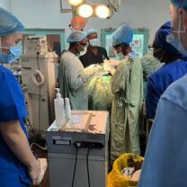 Go-Elective Abroad Premed and Medical Students in doing their rotations in various departments including surgery, OBGYN, internal medicine, pediatrics, and emergency medicine