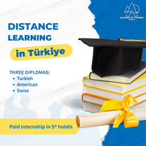 Remote education in Turkiye