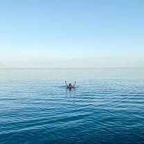 The Mediterranean 