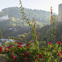 Alhambra perspective