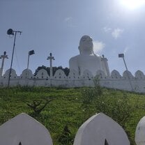 the statue