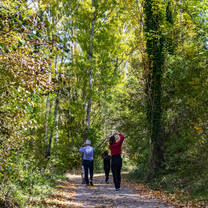 Forest tour