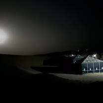 Desert night