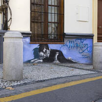 Dog wall art