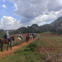 Horse ride