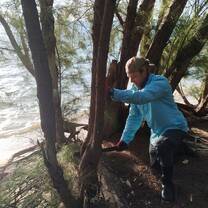 Man cutting a tree