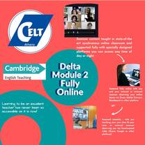 How Delta module 2 works slide