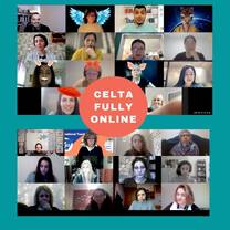 Group video online courses