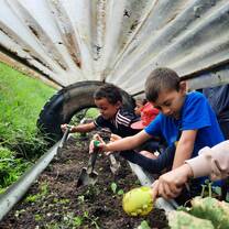 Students gardening