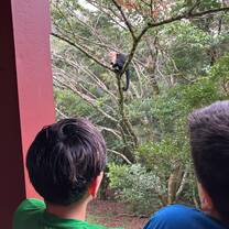 Students looking at a monkey 