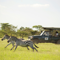 Volunteers on game drive