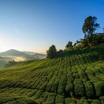 Hillside