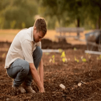 Cocoa Farmers skills Training project