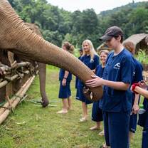 Volunteer in Elephant Conservation