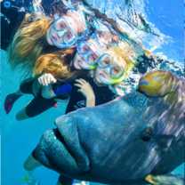 Great Barrier Reef Conservation