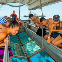 Great Barrier Reef Conservation