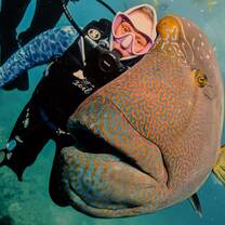 Great Barrier Reef Conservation